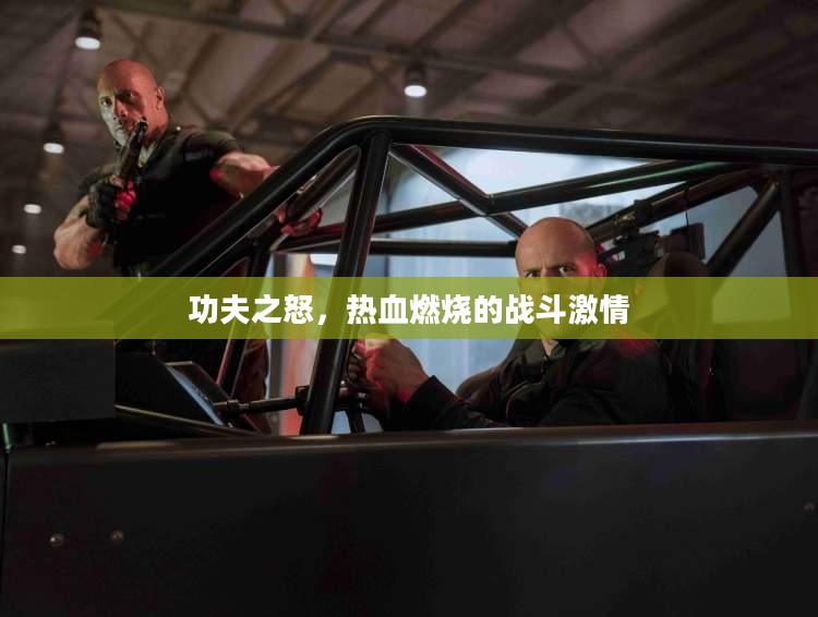 功夫之怒，热血燃烧的战斗激情