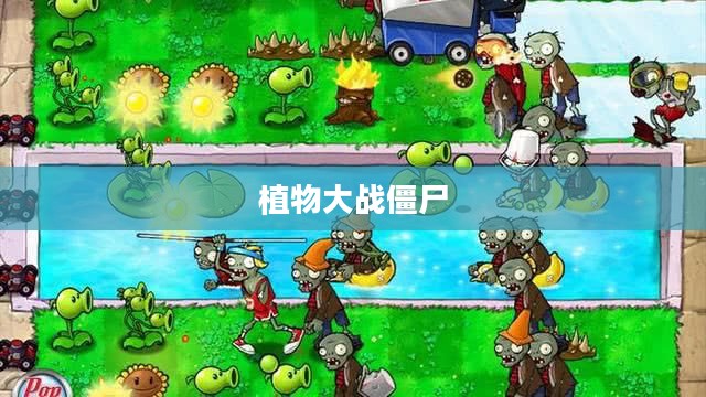 《植物大战僵尸》小游戏简介