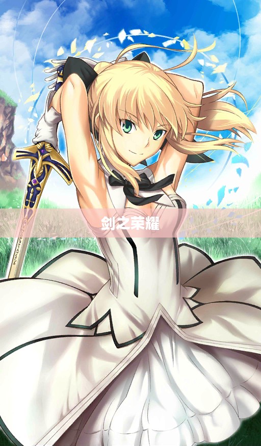 Saber Wars,剑之荣耀与荣耀之争 Saber Wars,剑之荣耀与荣耀之争