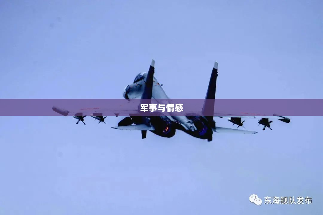 鹰击长空：军事与情感的交织