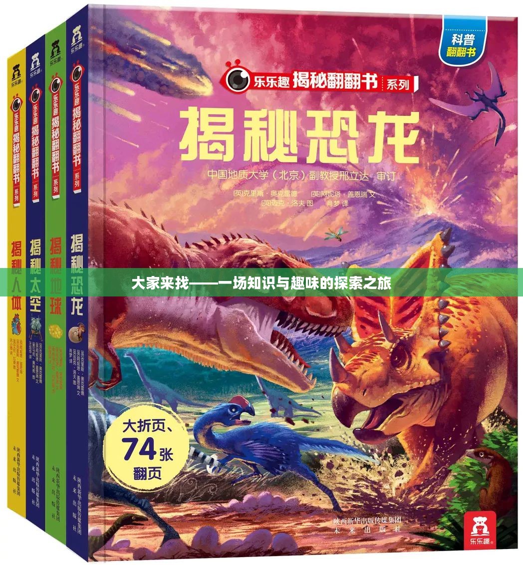 大家来找——一场知识与趣味的探索之旅