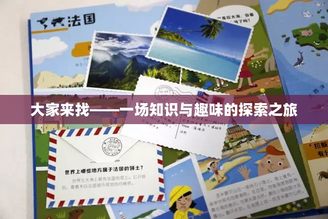 大家来找——一场知识与趣味的探索之旅