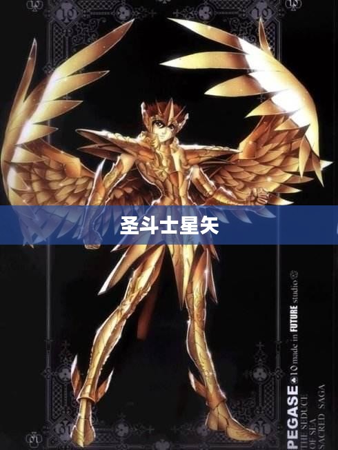 圣斗士星矢集结，热血重燃的传奇之旅