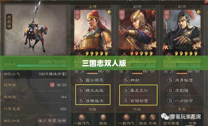 三国志双人版，重温经典，策略与合作的完美结合