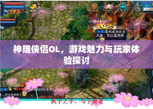 神雕侠侣OL，游戏魅力与玩家体验探讨