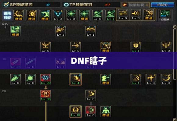 DNF瞎子刷图加点攻略