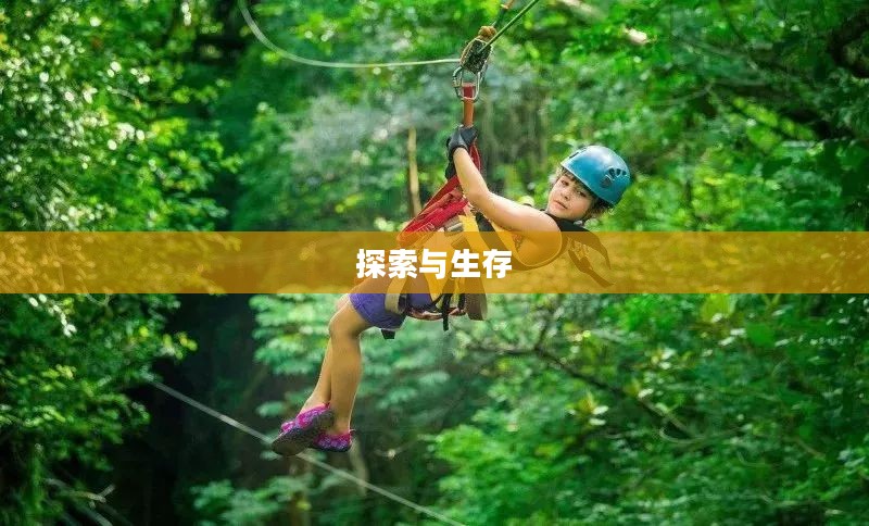 丛林野战，探索与生存的较量