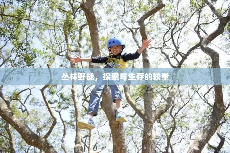 丛林野战,探索与生存的较量 丛林野战,探索与生存的较量