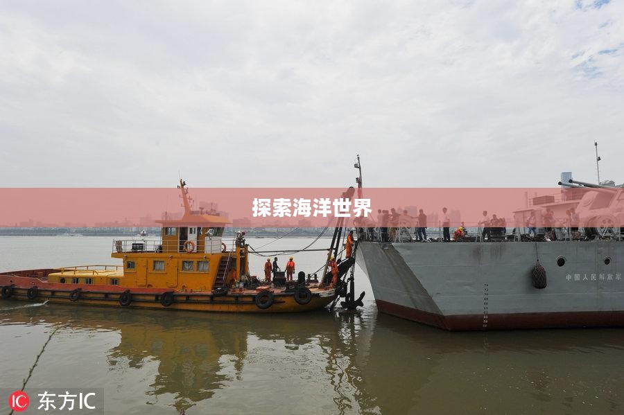 模拟鱼游戏下载，探索海洋世界的全新体验