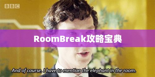 RoomBreak攻略宝典,解锁无限可能 RoomBreak攻略宝典,解锁无限可能
