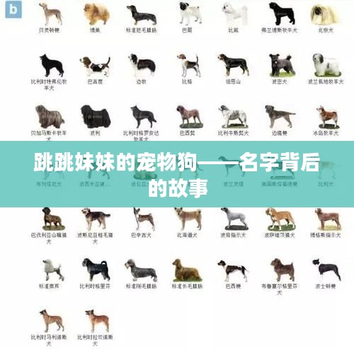 跳跳妹妹的宠物狗——名字背后的故事