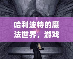 哈利波特的魔法世界，游戏下载与探索之旅（三）