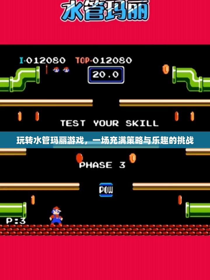 玩转水管玛丽游戏，一场充满策略与乐趣的挑战
