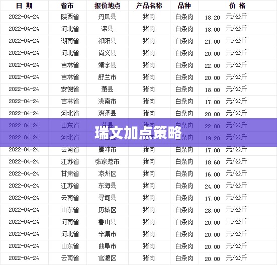 瑞文加点，游戏技能进阶与策略探讨