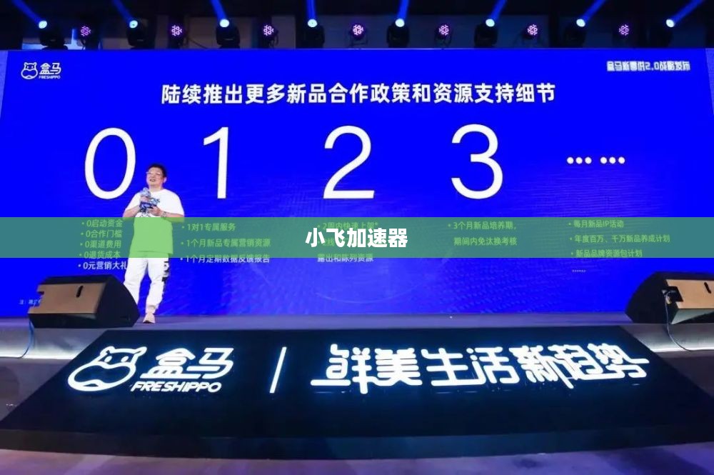 小飞加速器，引领网络时代的新动力