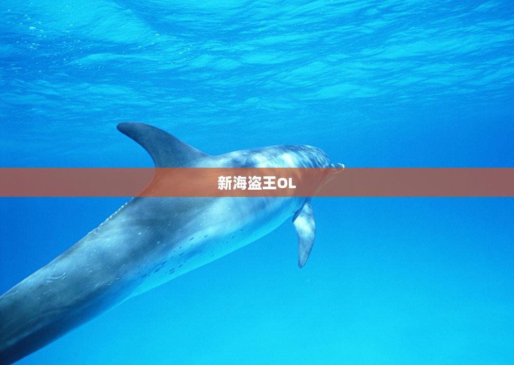 新海盗王OL，海洋霸主的崛起