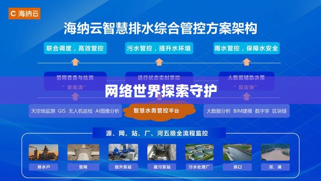 骑士VPN，探索网络世界的守护者