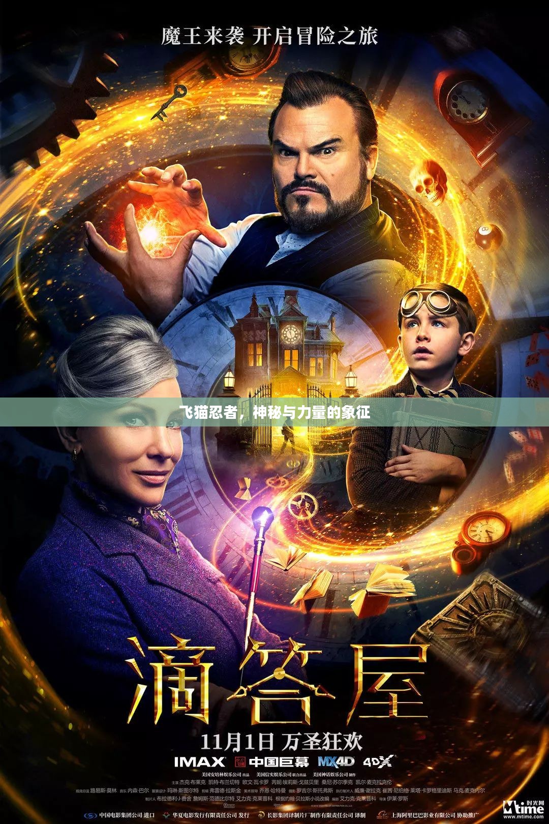 飞猫忍者，神秘与力量的象征