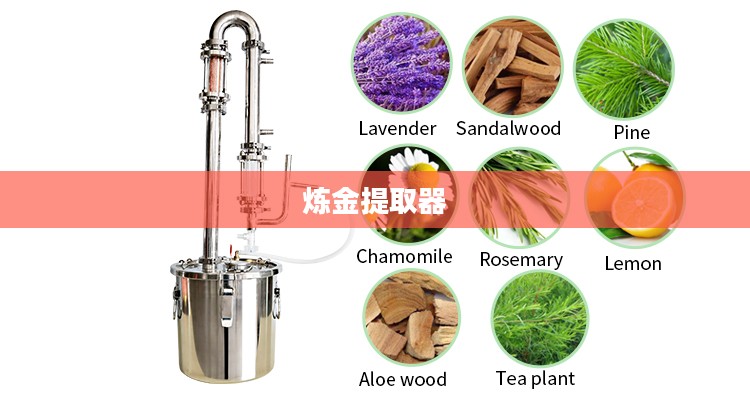 炼金提取器的奥秘与应用