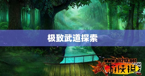 武道破天官网，探索极致武道的无限可能