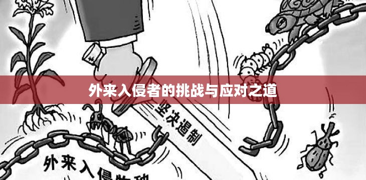 外来入侵者的挑战与应对之道