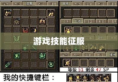 毒王刷图加点攻略，掌握技能，征服游戏世界