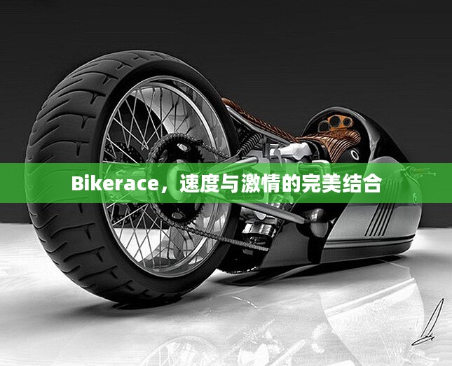 Bikerace,速度与激情的完美结合 Bikerace,速度与激情的完美结合
