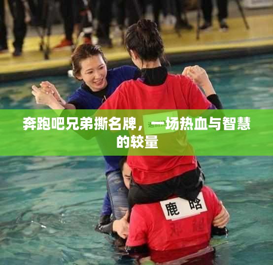 奔跑吧兄弟撕名牌，一场热血与智慧的较量