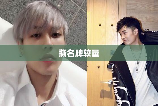 奔跑吧兄弟撕名牌,一场热血与智慧的较量 奔跑吧兄弟撕名牌,一场热血与智慧的较量