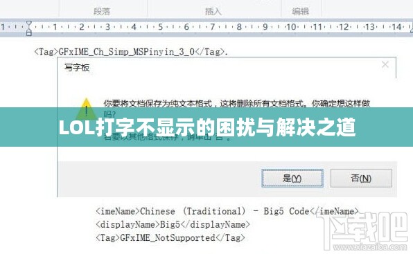 LOL打字不显示的困扰与解决之道