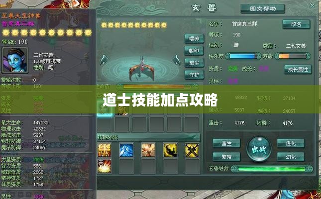 征途2道士技能加点攻略