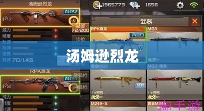 一、汤姆逊烈龙概述 一、汤姆逊烈龙概述