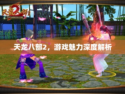 天龙八部2，游戏魅力深度解析