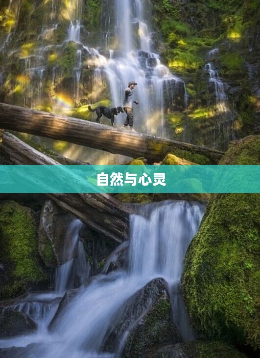 春光幻梦间,一场自然与心灵的奇妙旅程 春光幻梦间,一场自然与心灵的奇妙旅程