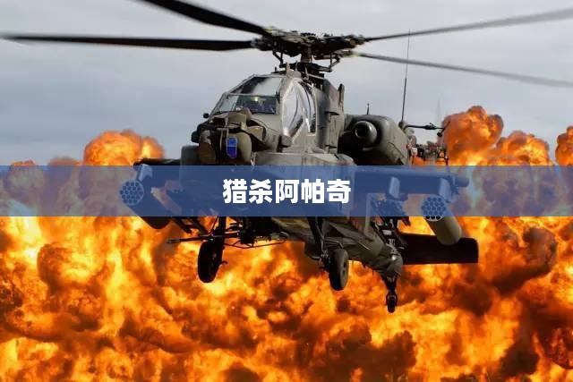 猎杀阿帕奇，空中霸主之间的较量