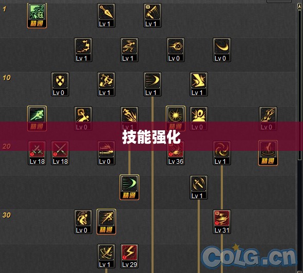 刺客加点攻略，技能强化与属性分配之道
