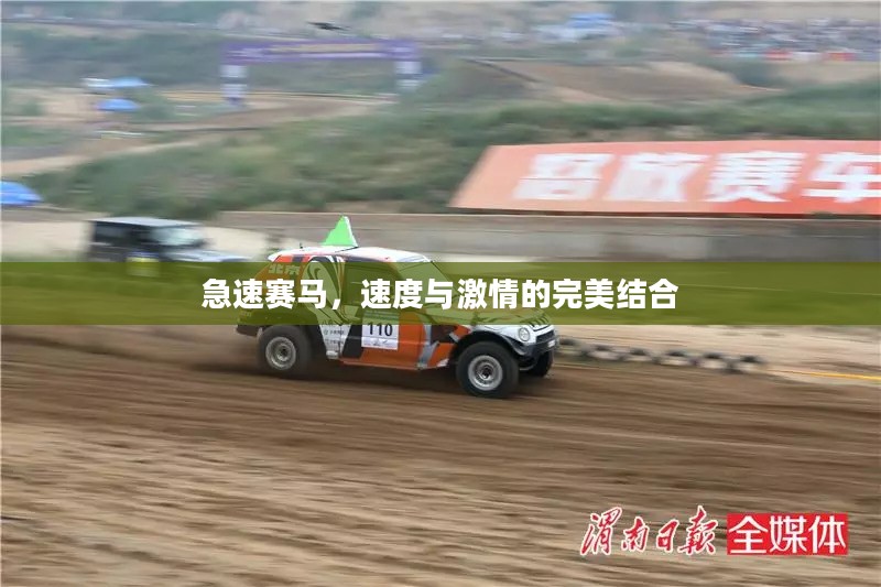 急速赛马，速度与激情的完美结合