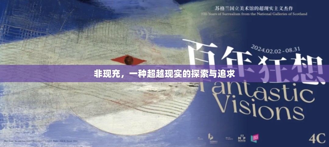 非现充，一种超越现实的探索与追求