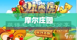 摩尔庄园毛毛菇获取攻略