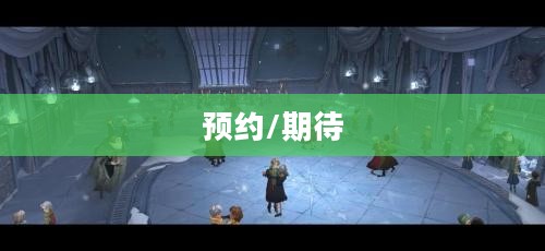 哈利波特魔法觉醒预约，一场奇幻之旅的期待