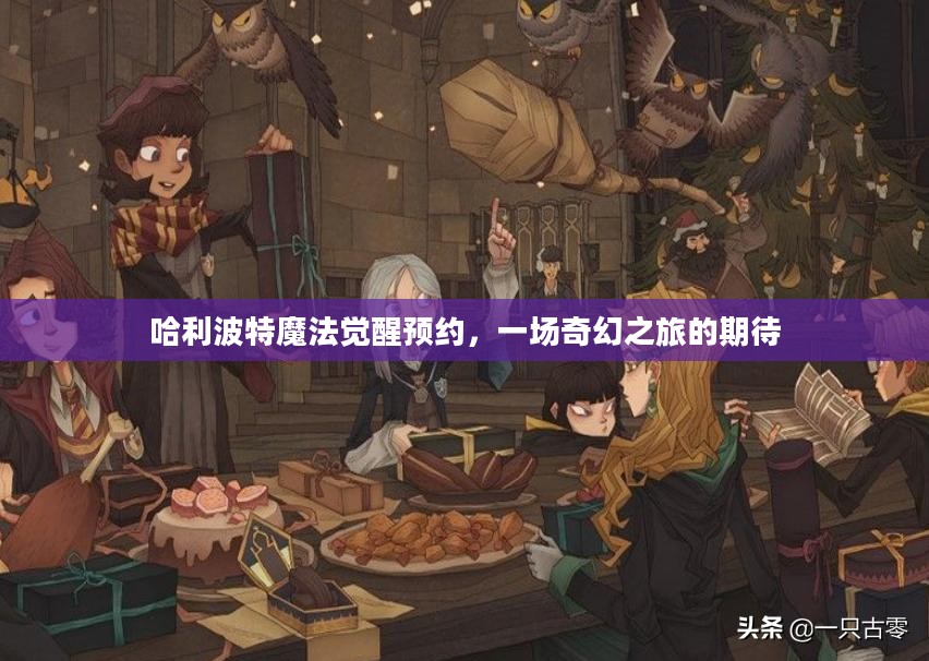 哈利波特魔法觉醒预约,一场奇幻之旅的期待 哈利波特魔法觉醒预约,一场奇幻之旅的期待