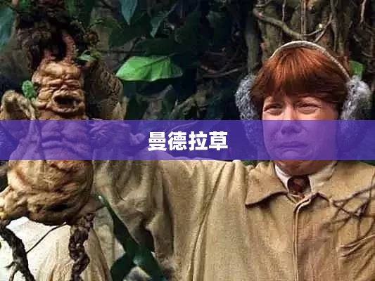 曼德拉草的低语与发出之声