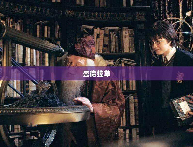 曼德拉草的低语与发出之声 曼德拉草的低语与发出之声