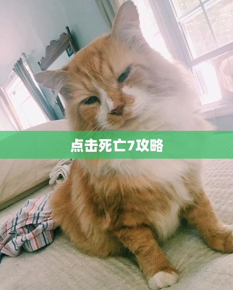 点击死亡7攻略,游戏全解析与策略分享 点击死亡7攻略,游戏全解析与策略分享