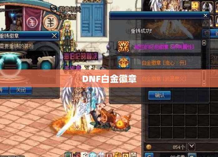 DNF白金徽章镶嵌攻略详解