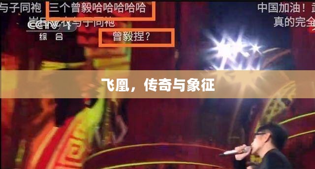 飞凰，传奇与象征