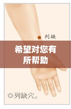 头脑王者答题神器，解锁智慧之门的关键