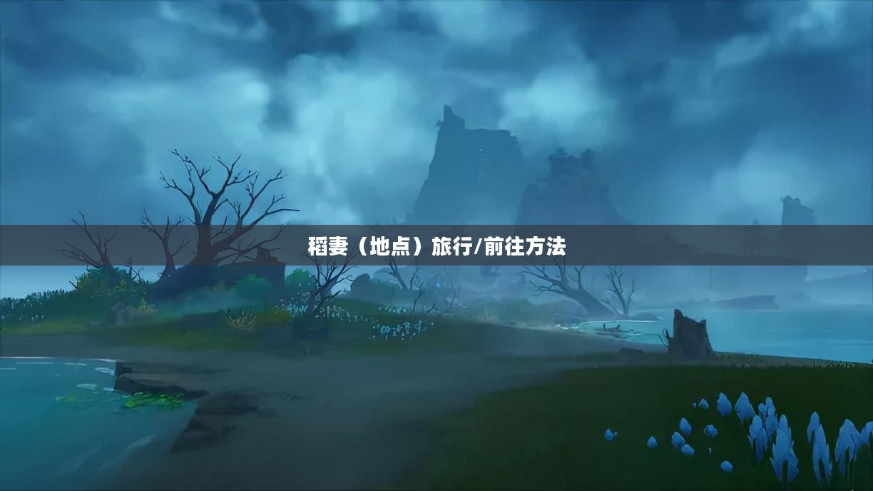 探索未知之旅，稻妻怎么去？