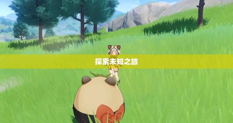 探索未知之旅,稻妻怎么去? 探索未知之旅,稻妻怎么去?