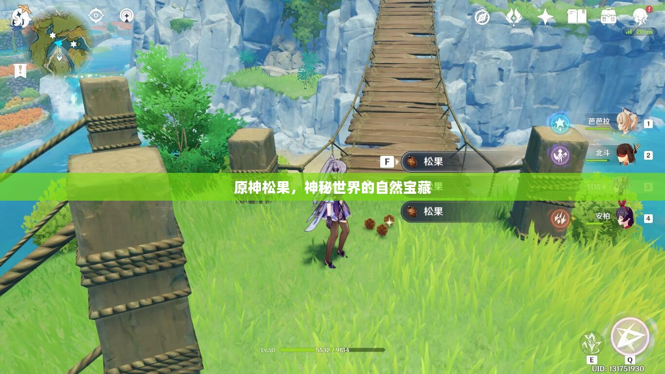 原神松果，神秘世界的自然宝藏